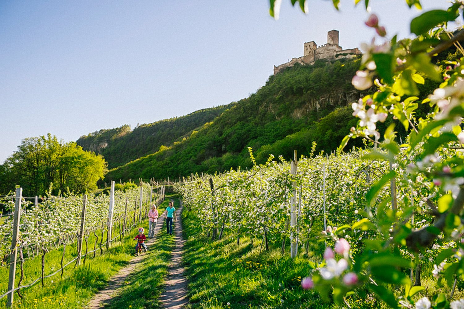 Endlich Frühling! Die schönste Zeit des Jahres | Hotel Ganischgerhof