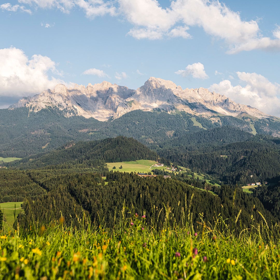 Sonnenpleateau Deutschnofen in Südtirol Foto: IDM Andreas Mierswa