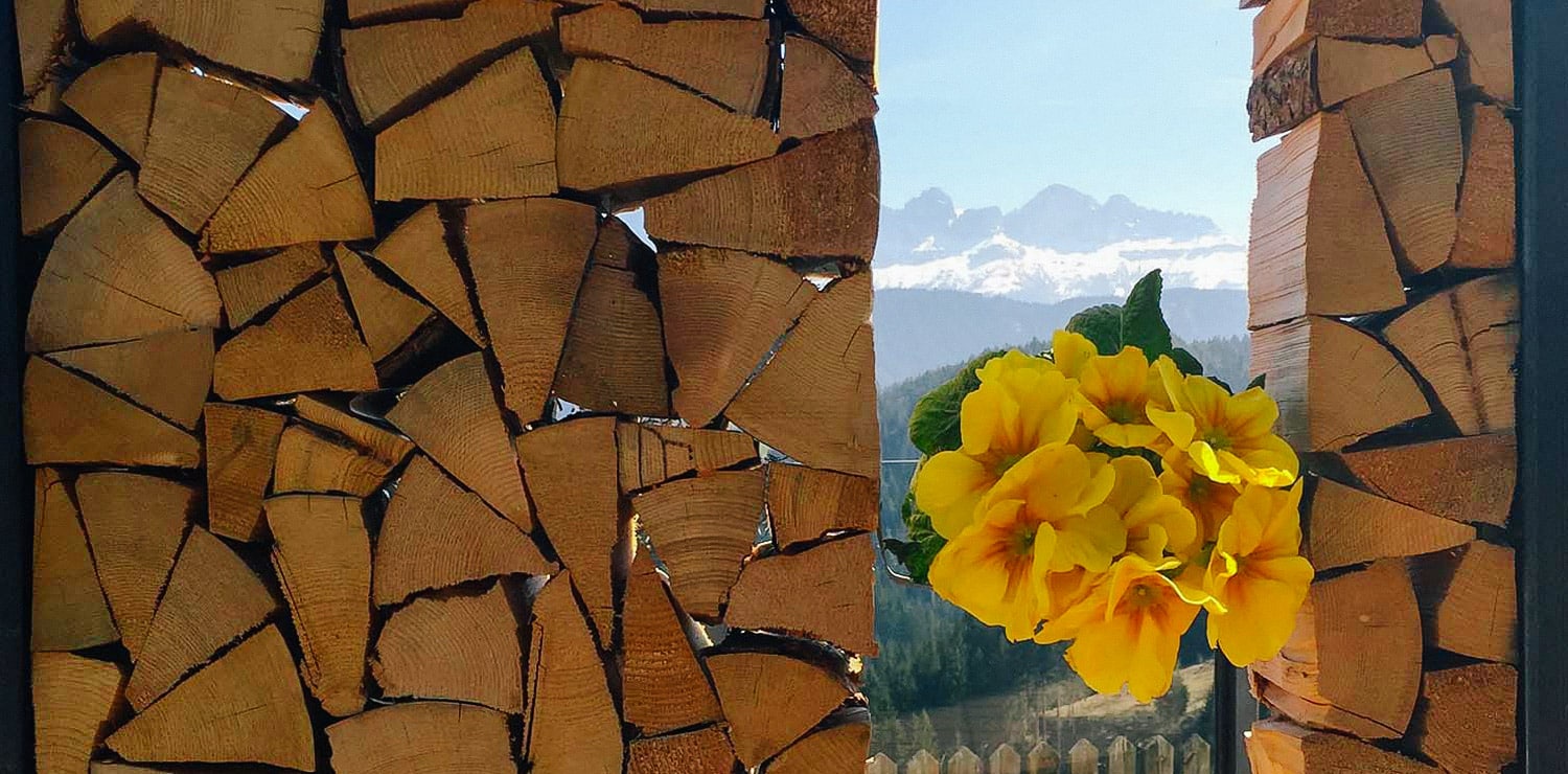 Finalmente primavera! Il momento più bello dell'anno in Val d'Ega