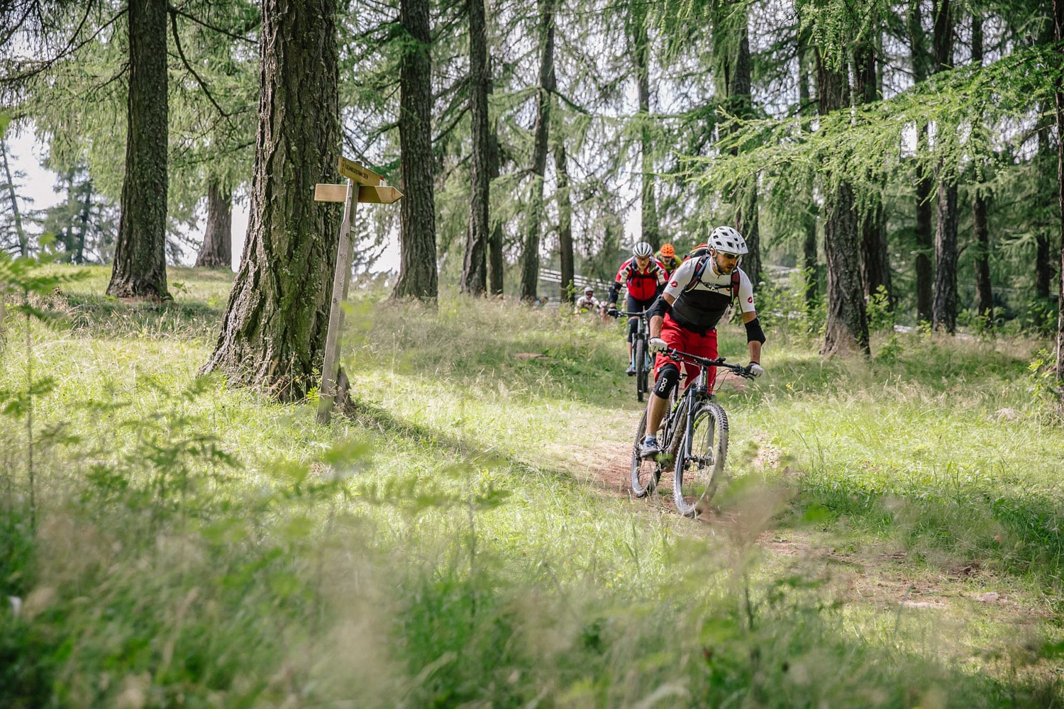 Finalmente primavera! Il momento più bello dell'anno in Val d'Ega