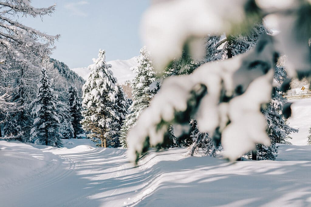 Urlaubsparadies Eggental, Hotel Ganischgerhof in den Dolomiten - Paradiso vacanze Val d'Ega, Hotel Ganischgerhof nelle Dolomiti - Holiday paradise Eggental Valley, Hotel Ganischgerhof in the Dolomites | Photo IDM Südtirol Benjamin Pfitscher