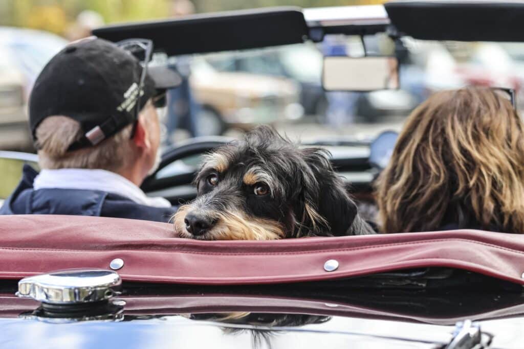 WESTSIDERS JV 2025 10 09 EHC Live Reportage 30