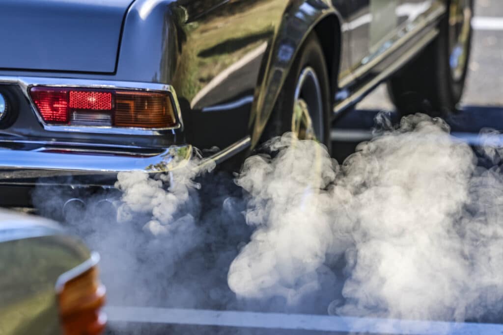 WESTSIDERS JV 2025 10 10 EHC Live Reportage 4