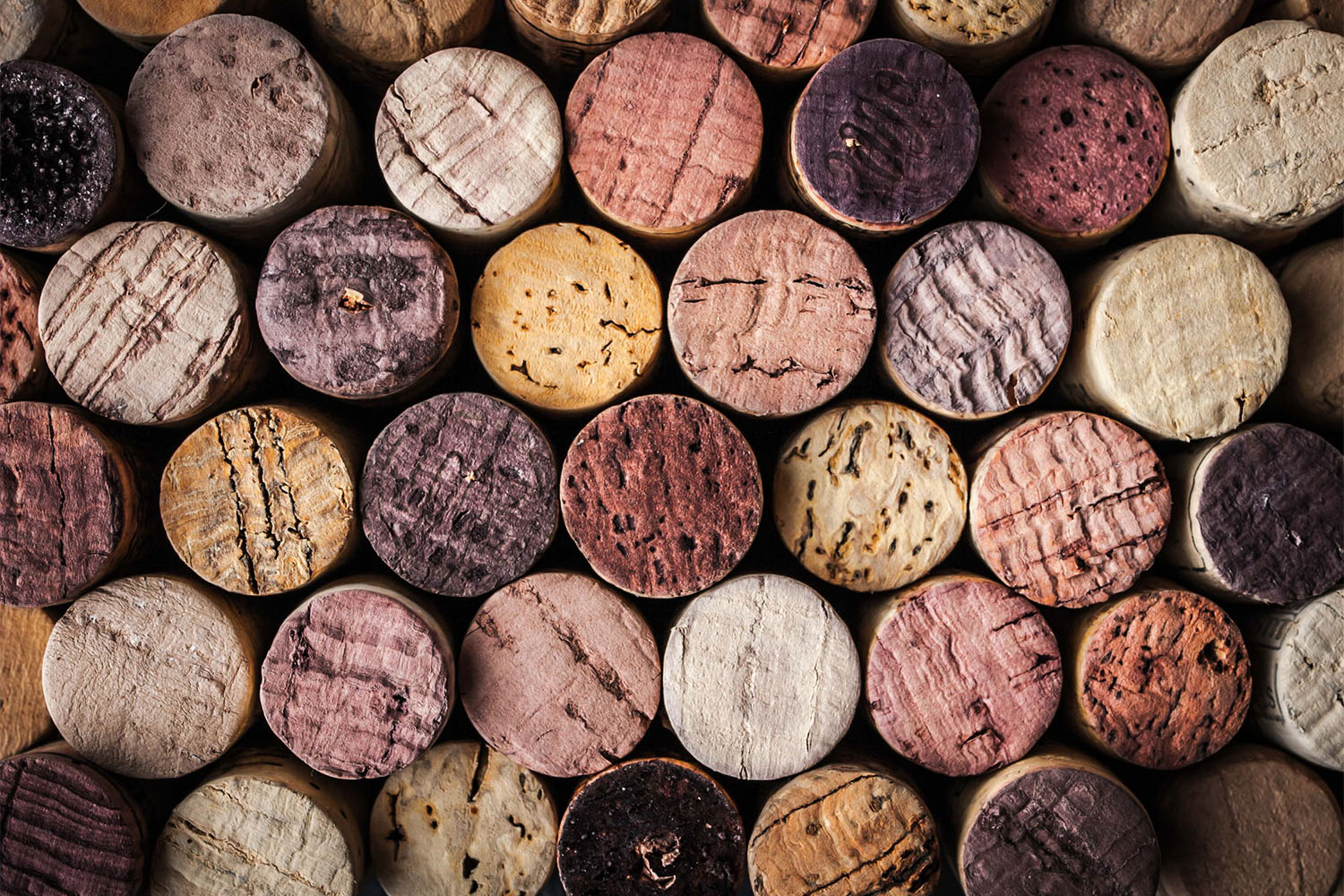 Gourmethotel mit Weinkeller in den Dolomiten | Südtirol