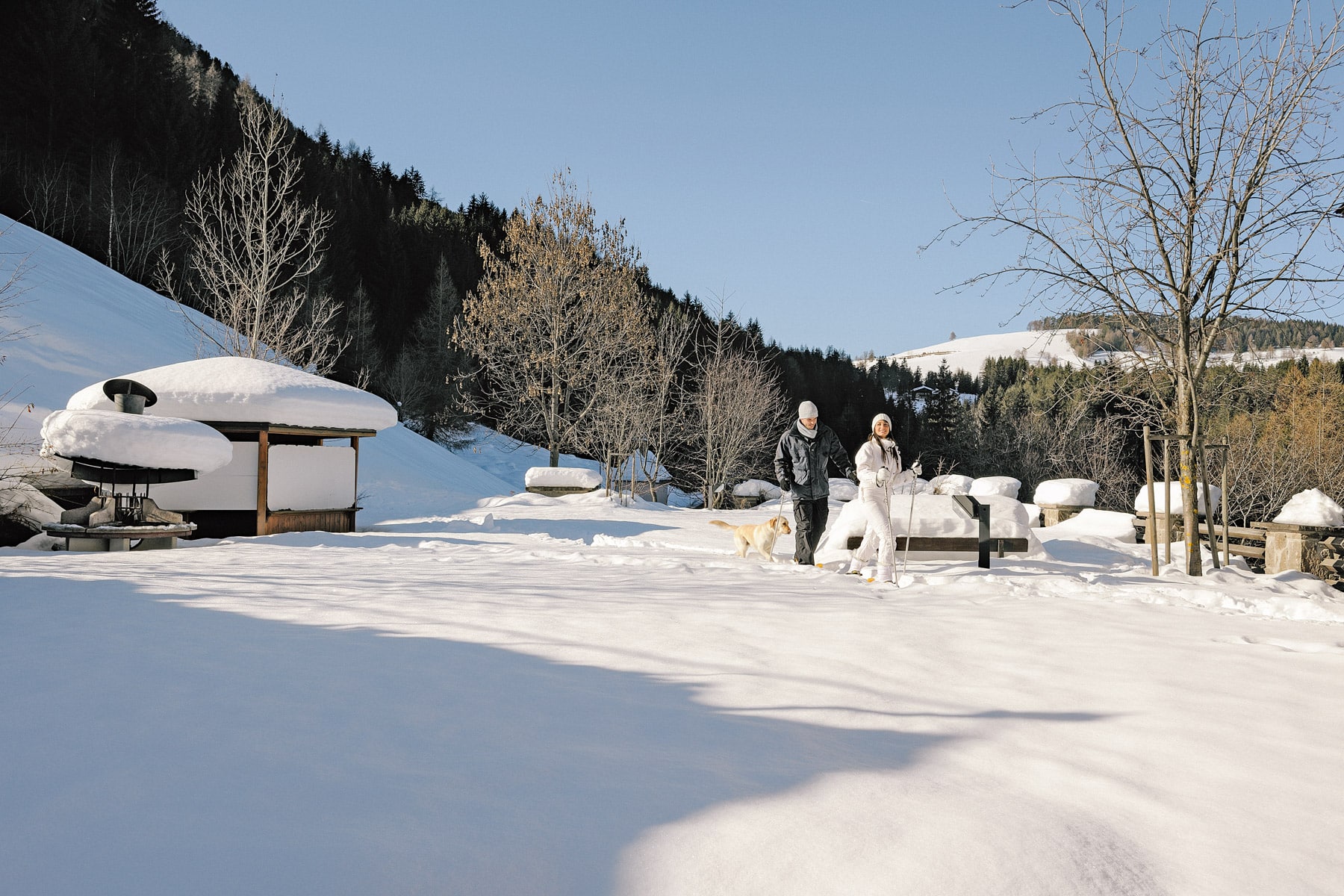 Pet-friendly hotel in Obereggen in the Dolomites, South Tyrol