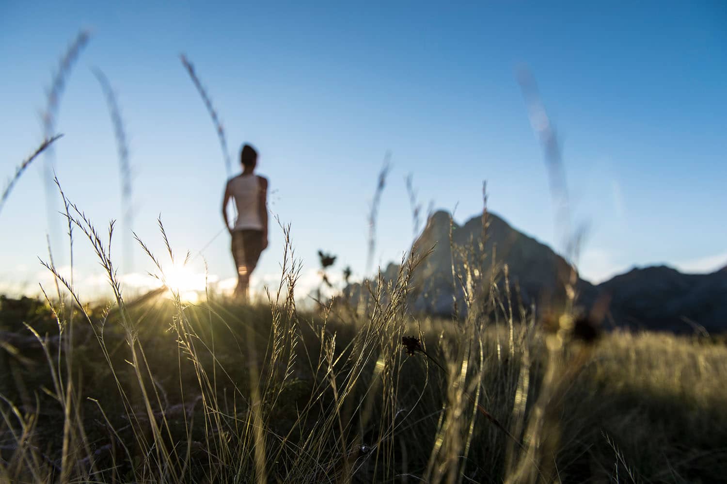 Wandern bei Sonnenaufgang in Südtirol im Eggental im Sommer 2021 Foto:IDM Helmuth Rier